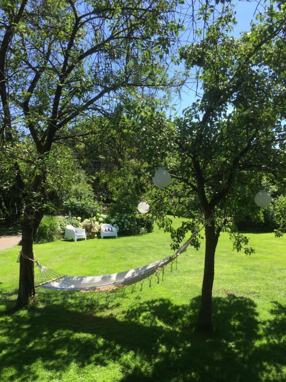 Aan De Aelder Esch Bed & Breakfast Aalden Dış mekan fotoğraf