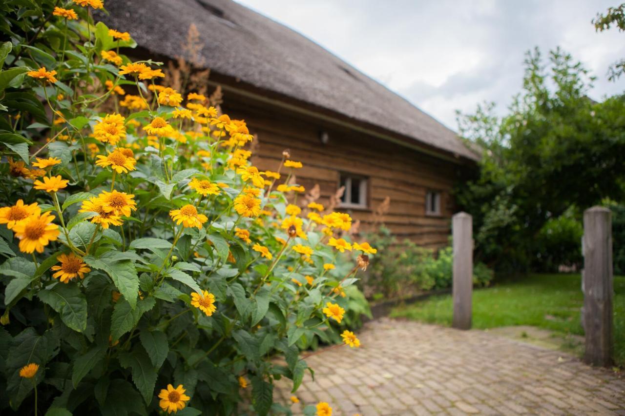 Aan De Aelder Esch Bed & Breakfast Aalden Dış mekan fotoğraf